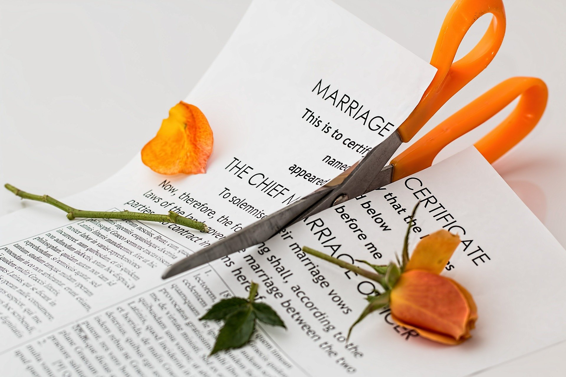 marriage certificate and rose being cut in half with scissors